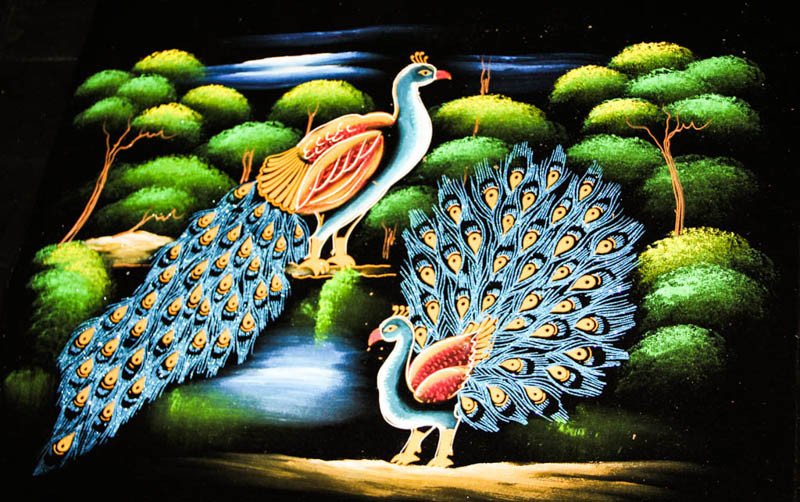 Peacock Couple